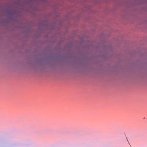 Meet your Posher, Dori